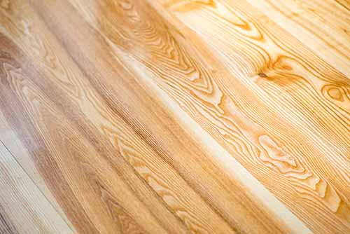 Close up image of varnished ash wood floor boards - wood flooring product