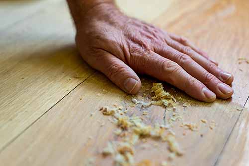 Hand brushing wood shavings off wide board Oak wood flooring